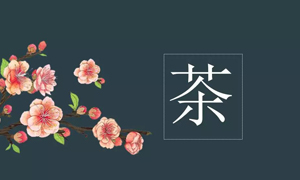 ŵ88վ֮˲Ӫҵչڲ֪ʶѵ